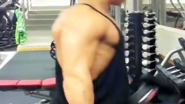 Workout Back And Biceps Angelo Hemin Fitness