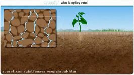 آب مویرگی Capillary نقش آن در بیابان زدائی