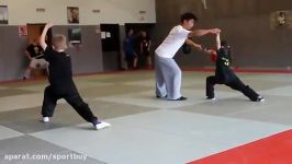 Wushu training Parijs from He Jing De