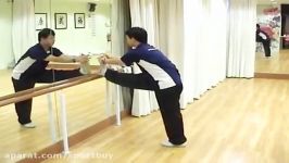 Kuen Wushu Training