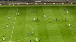 گل زیبای PES13