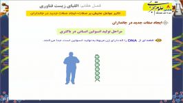 تولید انسولین انسانی در باکتری  علوم هشتم