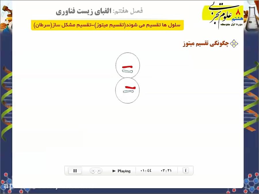 تقسیم میتوز  علوم هشتم