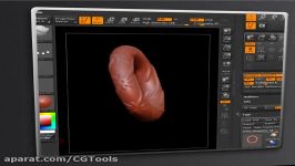 Digital Tutors  Getting Started with Zbrush