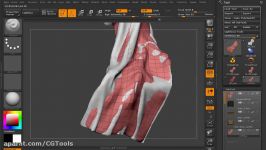 Digital Tutors  Cloth Workflows in ZBrush