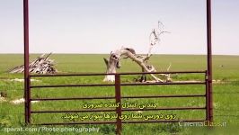 آشنایی لنزها