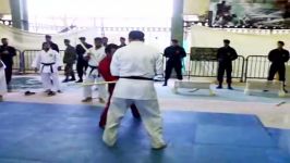 شیهان صیادی شکستن اجسام سخت کیوکوشین کاراته