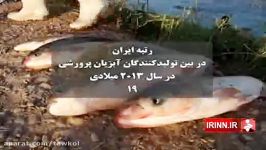 ایران بزرگترین صادر کننده انواع آبزی