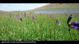 روستای کاپوت