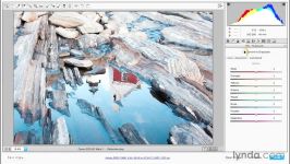 دانلود آموزش کامل پروژه محور Adobe Camera RAW...