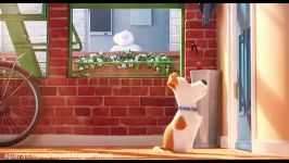 The Secret Life of Pets Official Teaser Trailer 2016