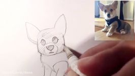 How I Draw Snacks the Corgi Puppy