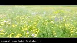 مرند میاب باغ زیبای علی حبیبی در94.03.04