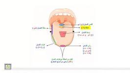 دوره تجوید قرآن جلسه 35تقسیم بندی حروف در مخارج 2