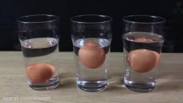 آزمایش علوم فیزیک مجموعه ازمایشات تخم مرغ
