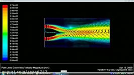 Numerical simulation of Mixing characteristics of paral