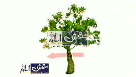 کرم بادام ببک