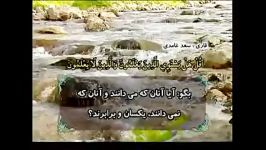 سوره الزمر آیات 8 الی 31