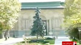 خبر جنجالی قطع 14 درخت کهنسال کاخ سعدآباد