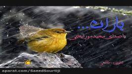 باران ... صدای سعید سورتیجی