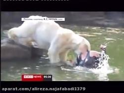 حمله خرس های قطبی به زن در باغ وحش برلین 18+