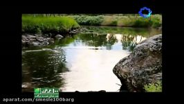 متن خوانی لاله اسکندری ماهیگیر صدای مازیار