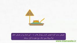 فعالیت هایی در طول بارداری باید آنها پرهیز کرد