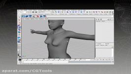 Creating Digital Humans 2  Definition and Detailing