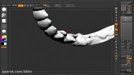 آموزش حجاری اسکلت سر انسان در Zbrush  قسمت دوم