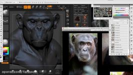 دانلود آموزش مدل سازی حجاری میمون در ZBrush...