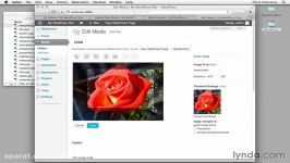 دانلود آموزش ساخت گالری های عکس تحت وب بوسیله WordPr...