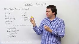 Synonyms for “small” in English