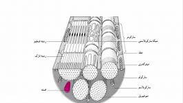 ایراد کتاب درسی پارسال برای کنکور امسال