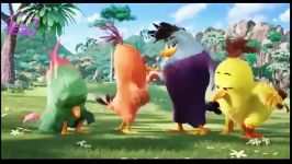 تریلر انیمیشن پرندگان خشمگین Angry Birds