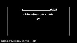 هاجر چنارنی نامزد دهمین دروه مجلس شورای اسلامی نیشابور