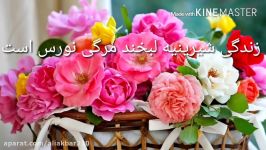 غزل ناب ♥♥امیر عاملی♥♥شاعر استاد خوشنویسی