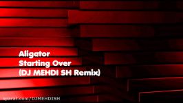 Aligator  Starting Over DJ MEHDI SH Remix Audio