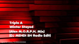 Winter Stayed DJ MEHDI SH Radio Edit