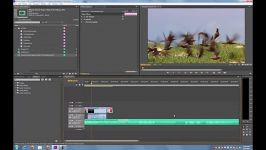 Adobe Premiere Pro CS6 Tutorial Basic Editing