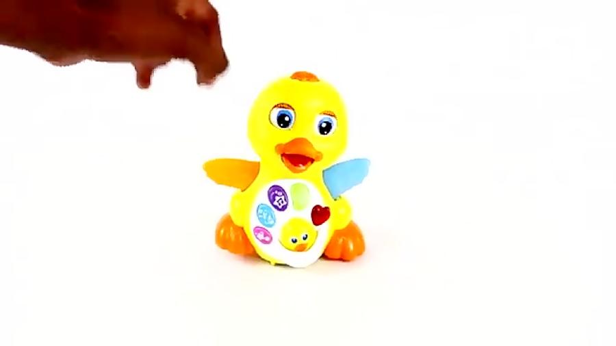 اردک موزیکال هویلی تویز huile toys musical duck