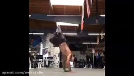 Tavi Castro Strong Training