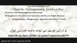 فوائد سلامتی بخش سیر  Garlic health benefits