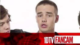 one direction interview with fans