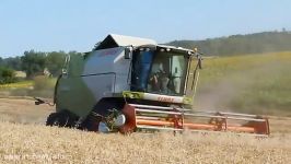 Harvest with Claas Tucano 430