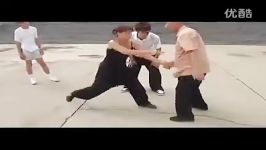 unknown tai chi master