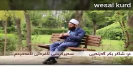 نگاه به زن نامحرم  ماموستا شاکر بکر حفظه الله