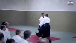 Aikido Christian Tissier Paris Dec 2014