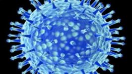 Pig Flu Symptoms An H1N1 pandemic flu strain mutating with Avian Flu