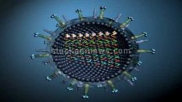 SWINE FLU H1N1 VIRUS MUTATION