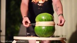 بریدن هندوانه توسط کش